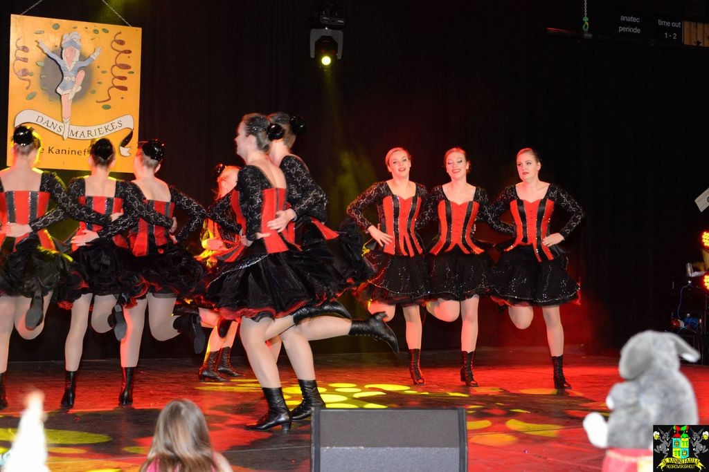 ../Images/Dansmarieke festival 2018 239.jpg